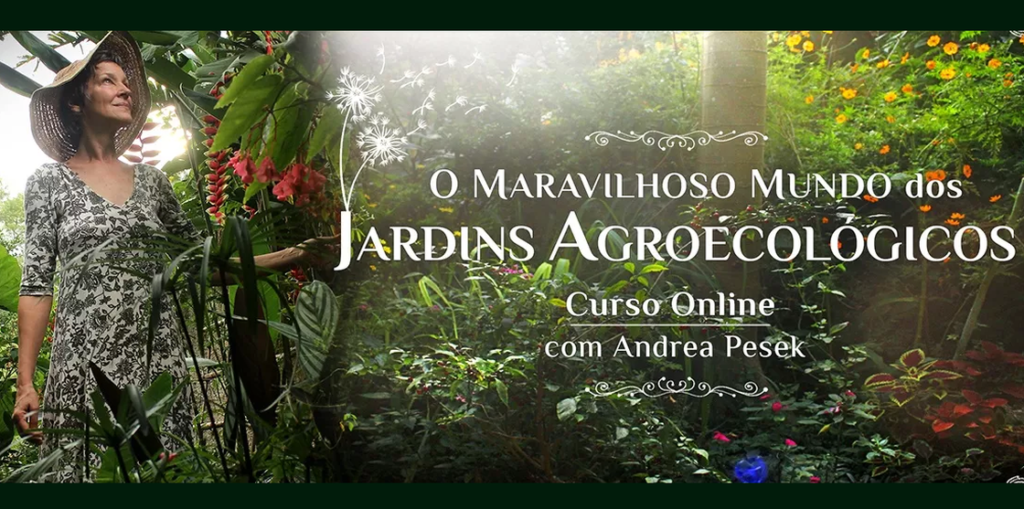 Curso O Maravilhoso mundo dos Jardins Acroecologicos