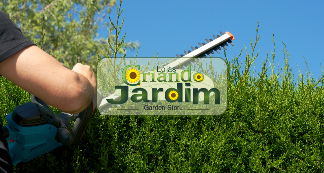Empresas de jardinagem – Ligue Criando Jardim em Itaipu, Niteroi RJ.