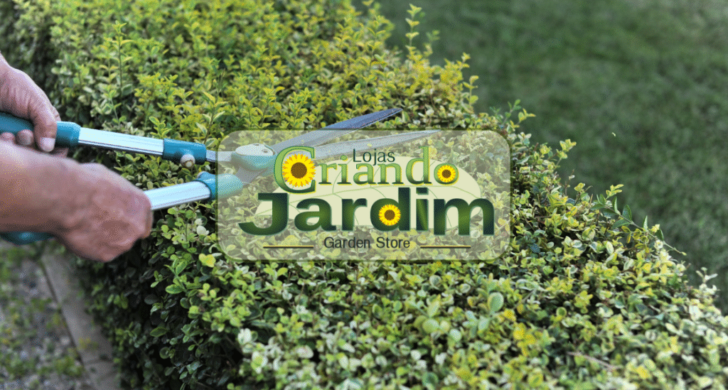 Construção e manutenção de jardins em Niteroi